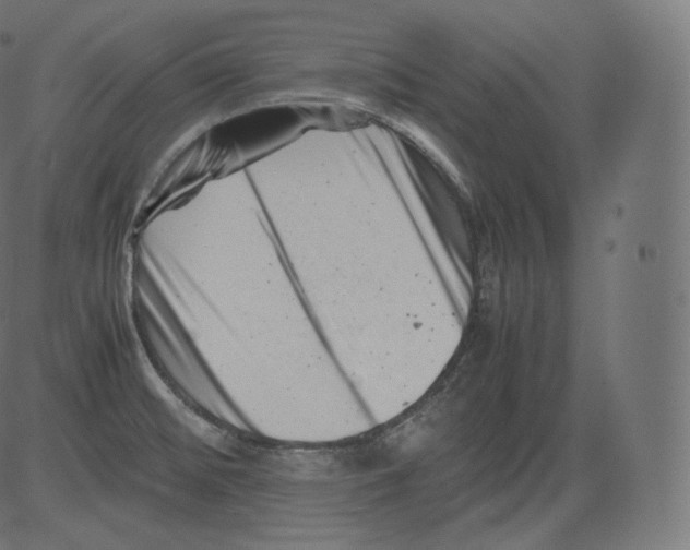 X0000081431476200702092147