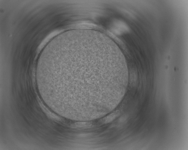 X0000081431478200702092147