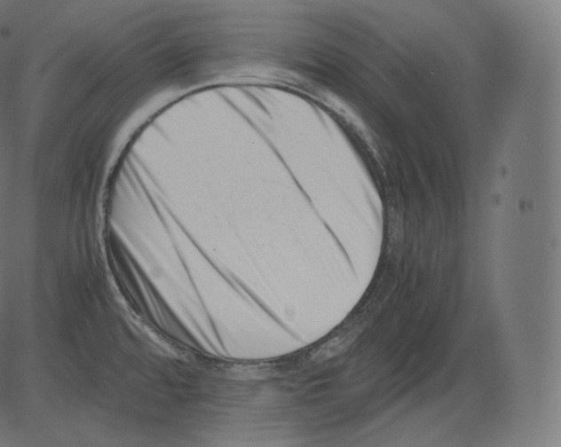 X0000081431480200702092147