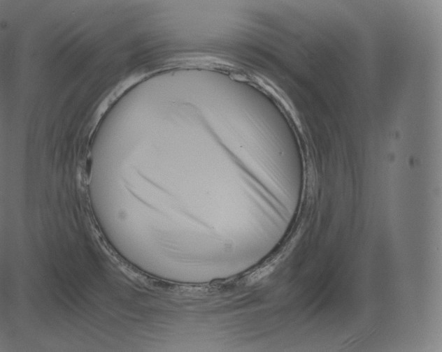 X0000081431481200702092147