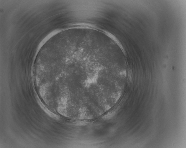 X0000081431482200702092147