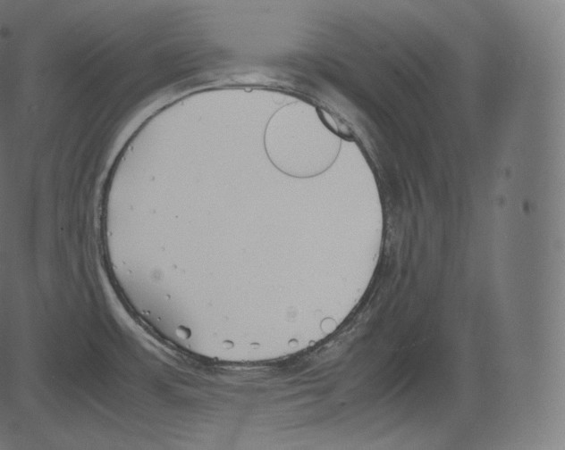 X0000081431483200702092147