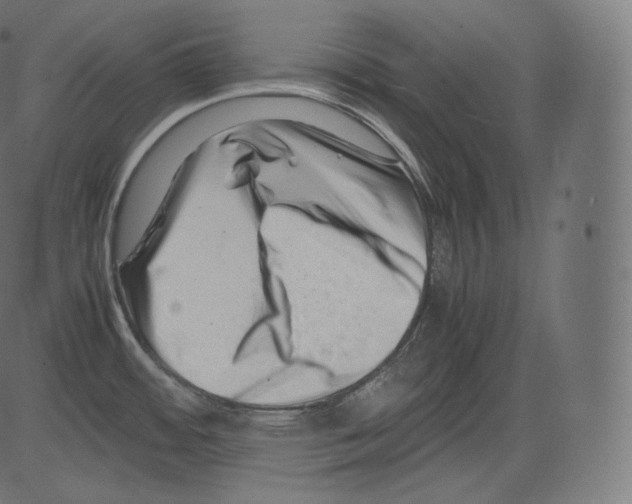 X0000081431484200702092147