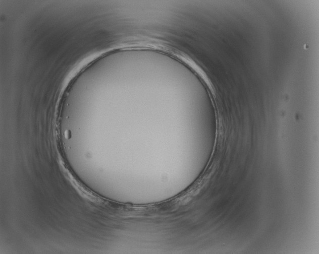 X0000081431485200702092147