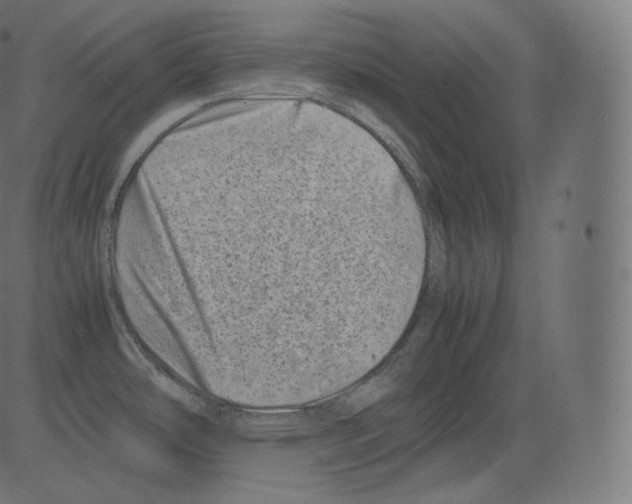 X0000081431486200702092147