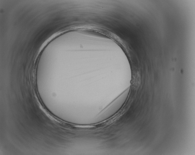 X0000081431487200702092147