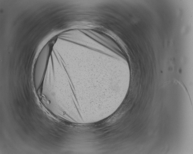 X0000081431488200702092147