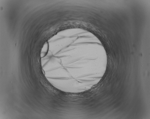 X0000081431489200702092146