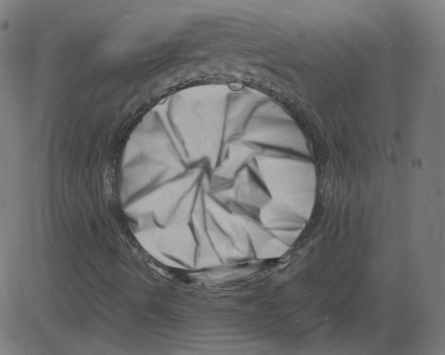 X0000081431490200702092146