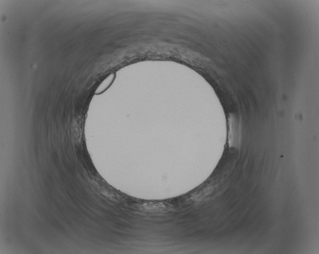 X0000081431491200702092146