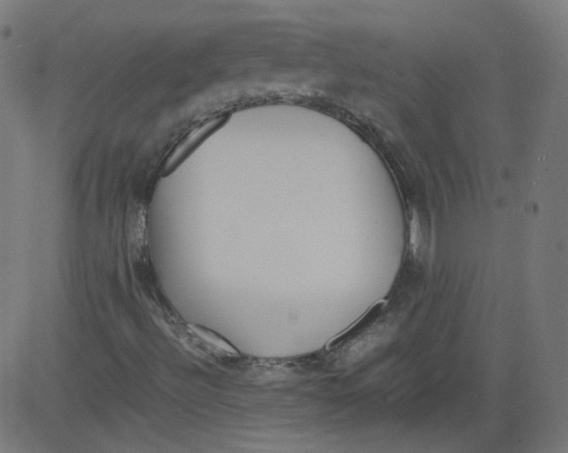 X0000081431492200702092146