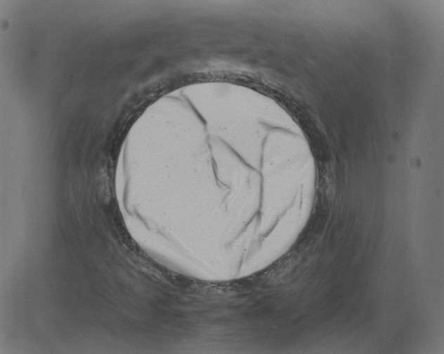 X0000081431493200702092146