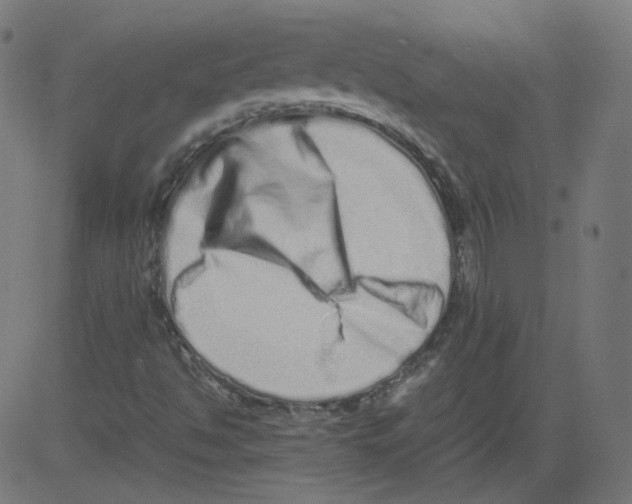 X0000081431494200702092146