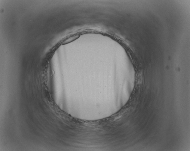 X0000081431496200702092146