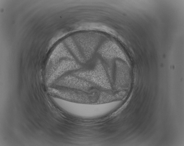 X0000081431497200702092146