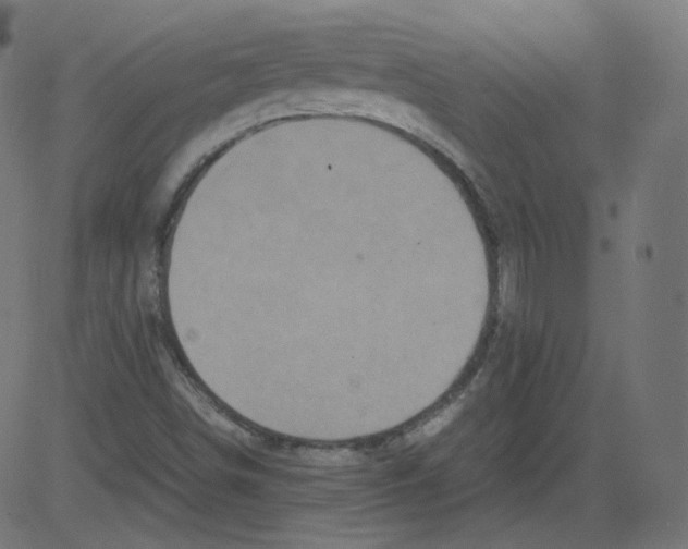 X0000081431498200702092146