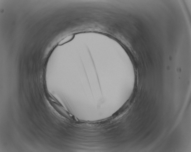 X0000081431500200702092146