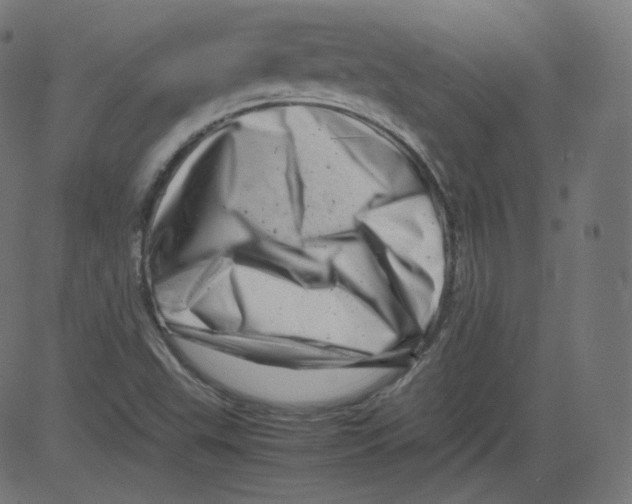 X0000081431503200702092146