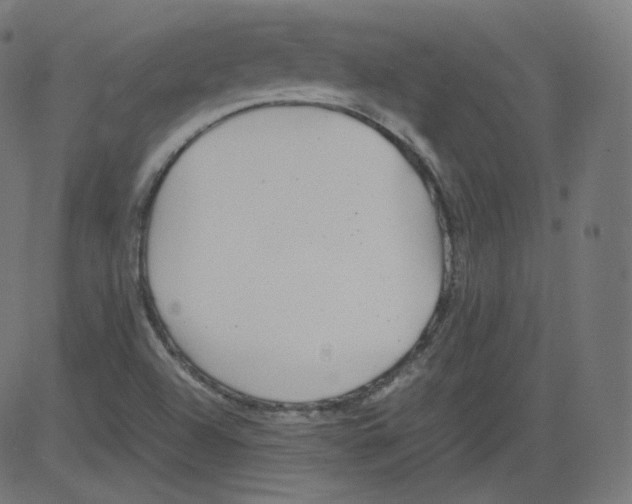 X0000081431504200702092146