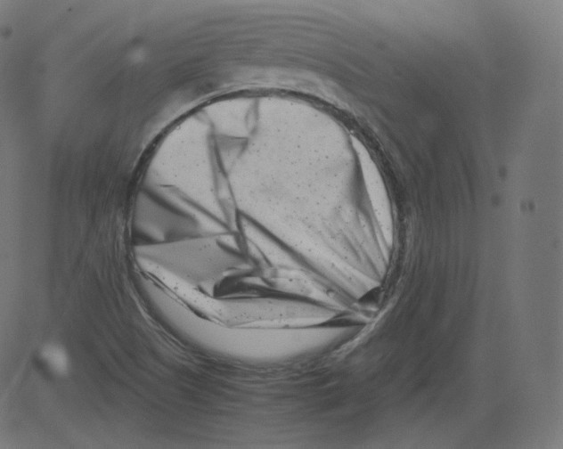 X0000081431505200702092146