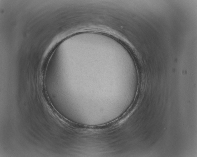 X0000081431506200702092146