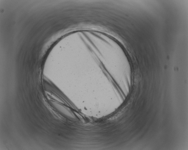 X0000081431507200702092146