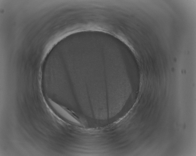 X0000081431508200702092146