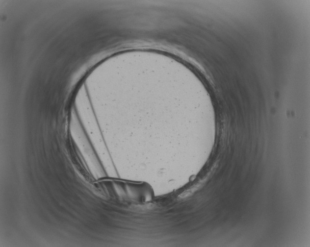 X0000081431509200702092146