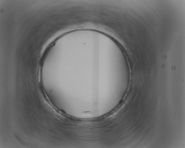 X0000081431510200702092146