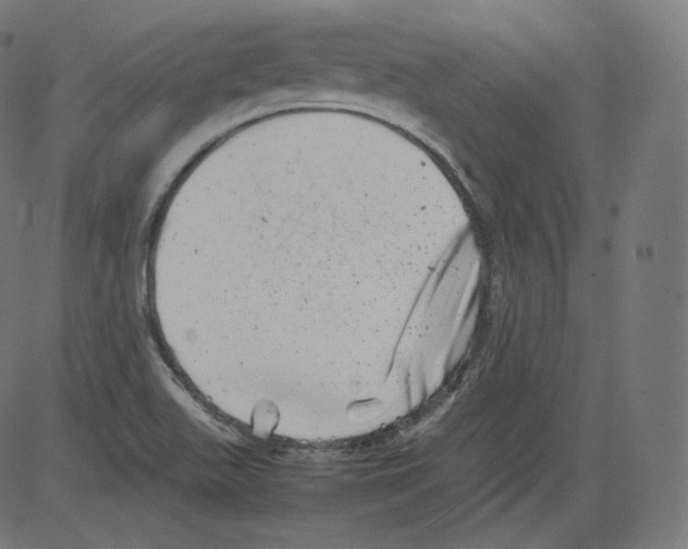 X0000081431511200702092146