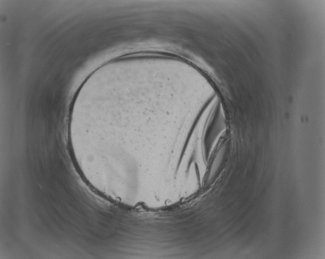 X0000081431512200702092146