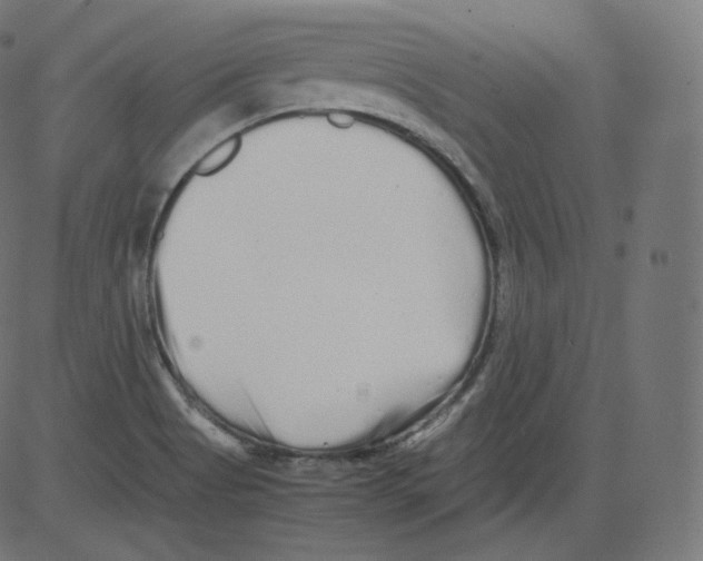 X0000081431513200702092146