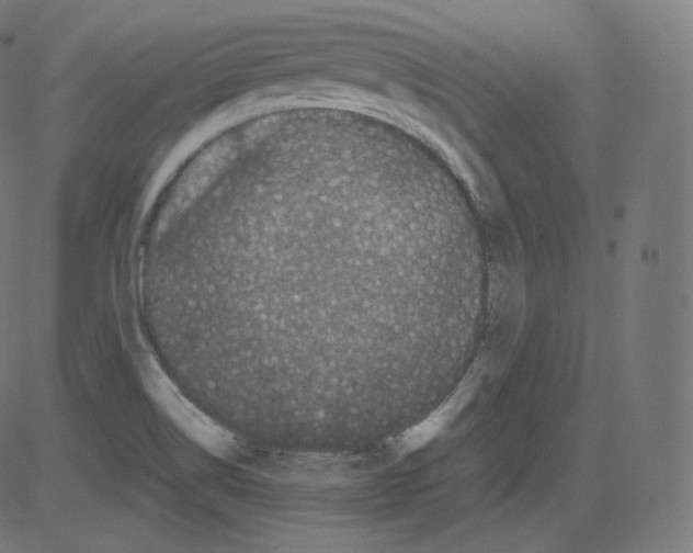 X0000081431514200702092146