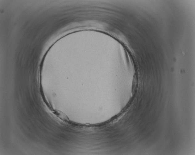 X0000081431516200702092146