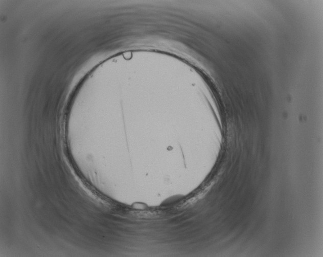 X0000081431517200702092146