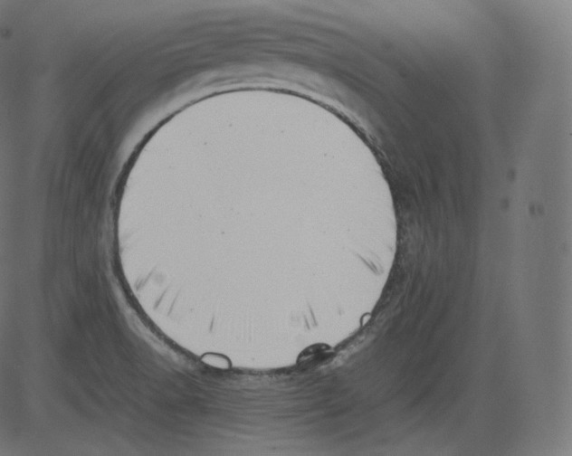 X0000081431518200702092146