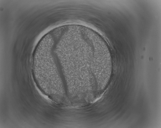 X0000081431519200702092146