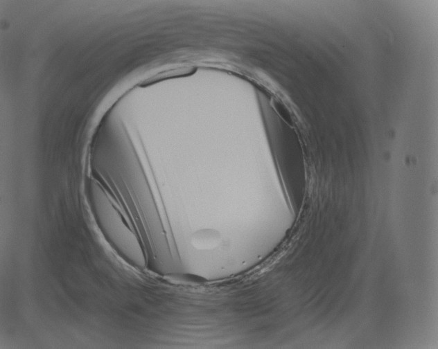 X0000081431520200702092146