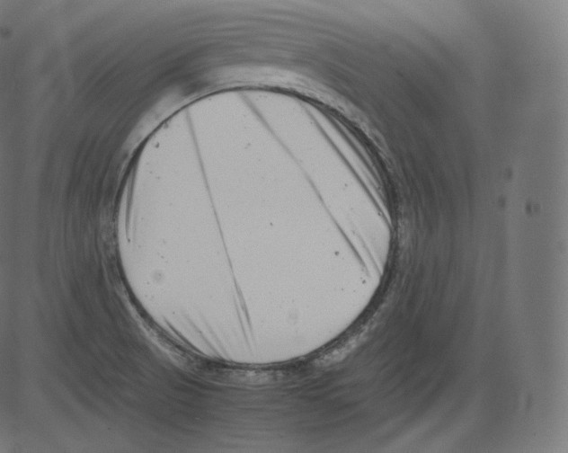 X0000081431521200702092146