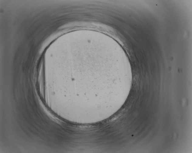 X0000081431523200702092146