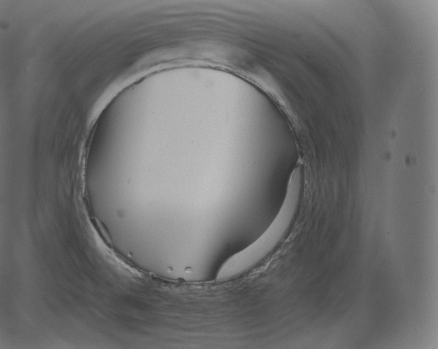 X0000081431524200702092146