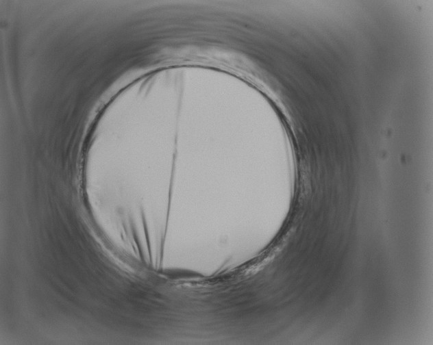 X0000081431525200702092146