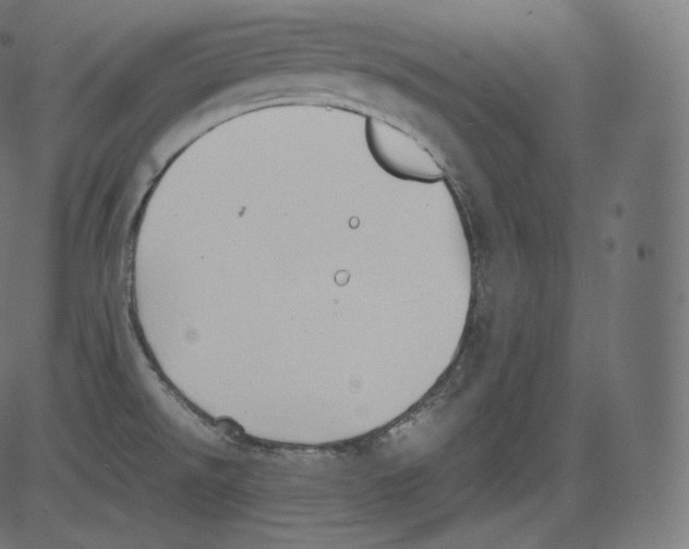 X0000081431526200702092146