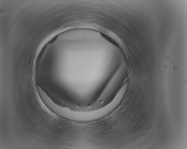 X0000081431528200702092146