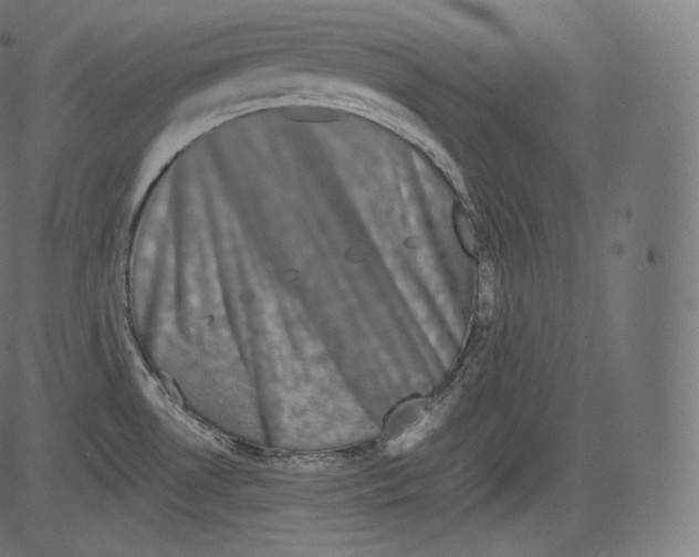 X0000081431530200702092146