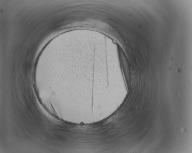 X0000081431531200702092147