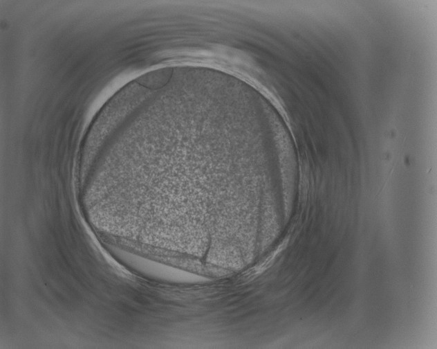 X0000081431533200702092147