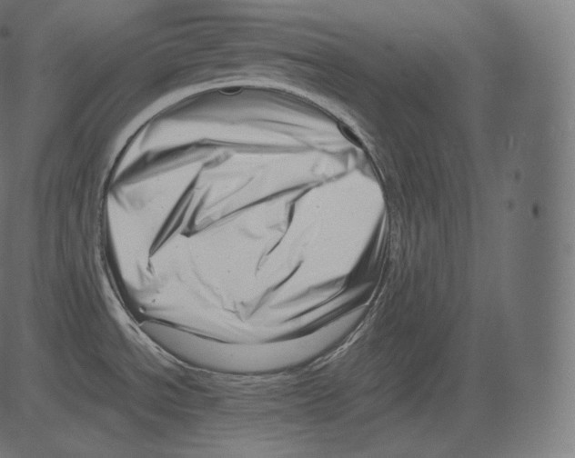 X0000081431534200702092147