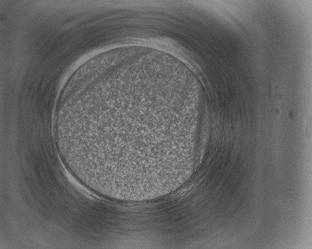 X0000081431535200702092147