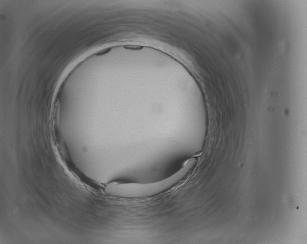 X0000081431536200702092147